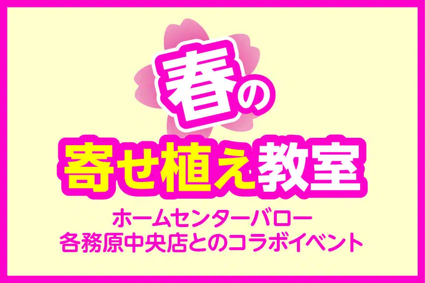 春の寄せ植え教室