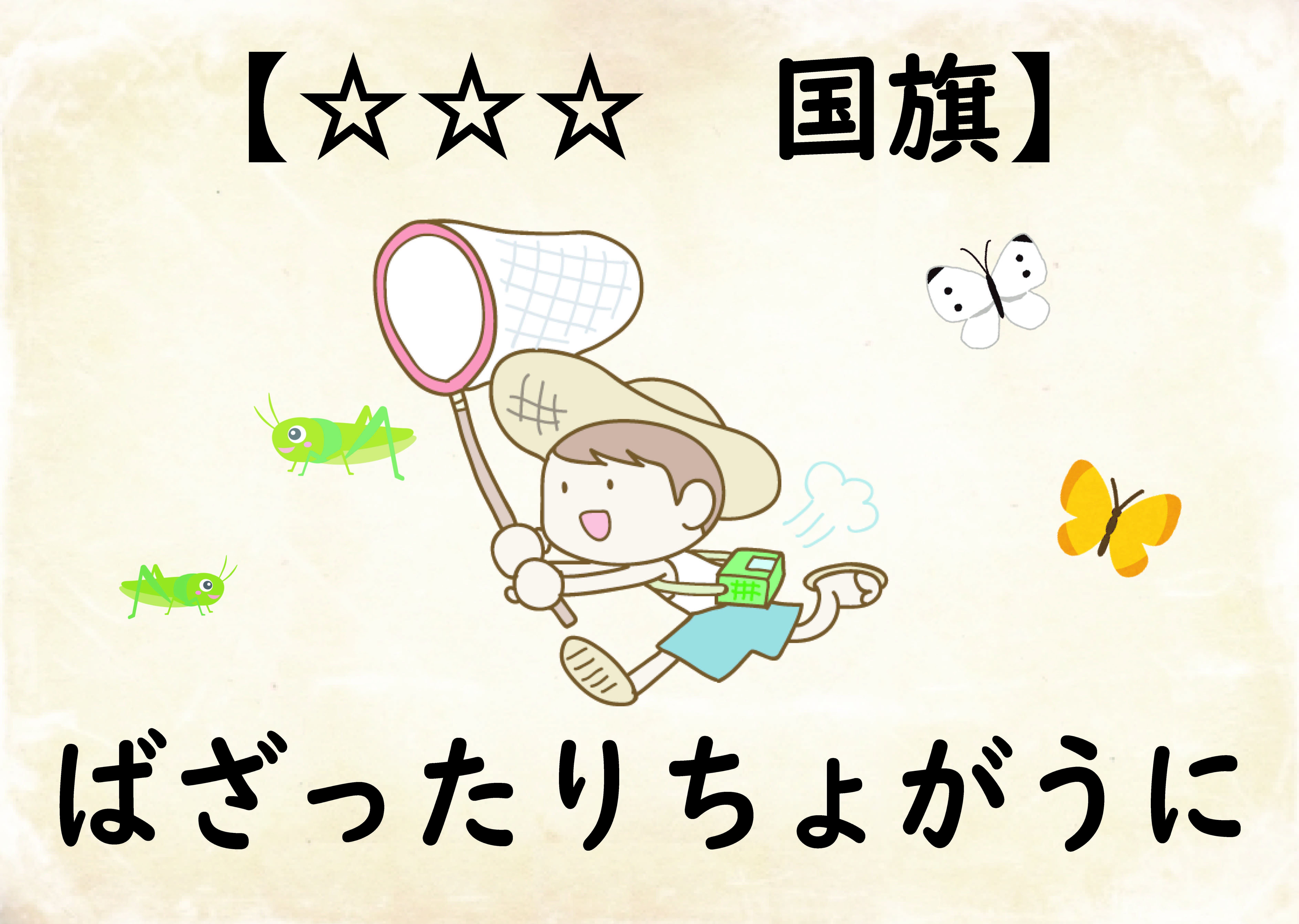 ⭐︎⭐︎⭐︎国旗