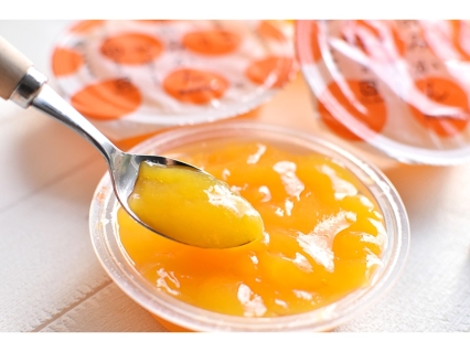 WEBでモデルハウス見学を予約するともれなくプレゼント