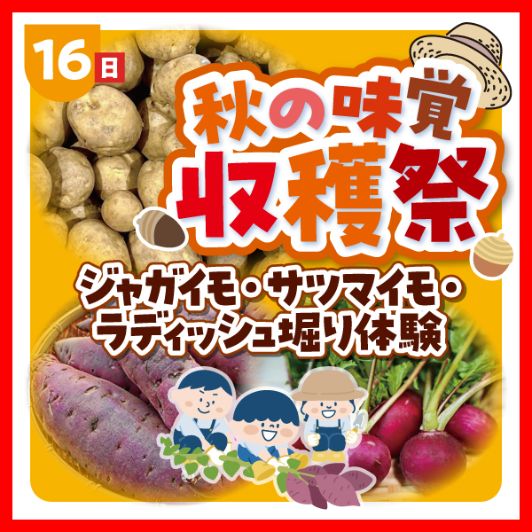 秋の味覚収穫祭🍁