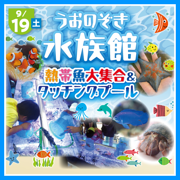 うおのぞき水族館🐟