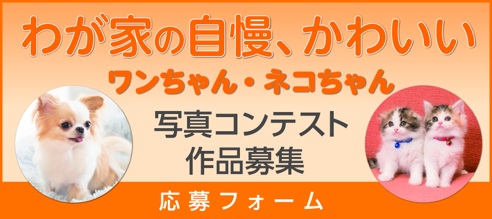 応募フォームバナー